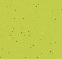 Линолеум Forbo Sphera Energetic 50214 lime фото 1 | FLOORDEALER